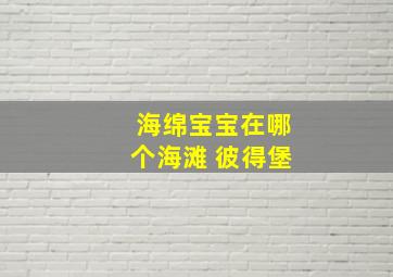 海绵宝宝在哪个海滩 彼得堡